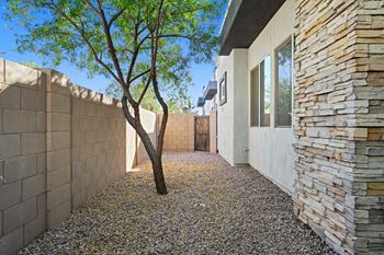 a courtyard with a tree and a stone wall